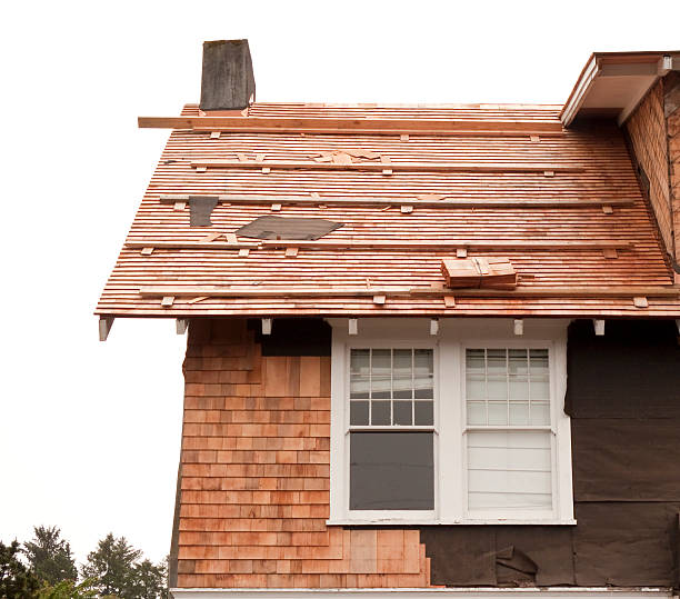 Best Historical Building Siding Restoration  in Carrboro, NC